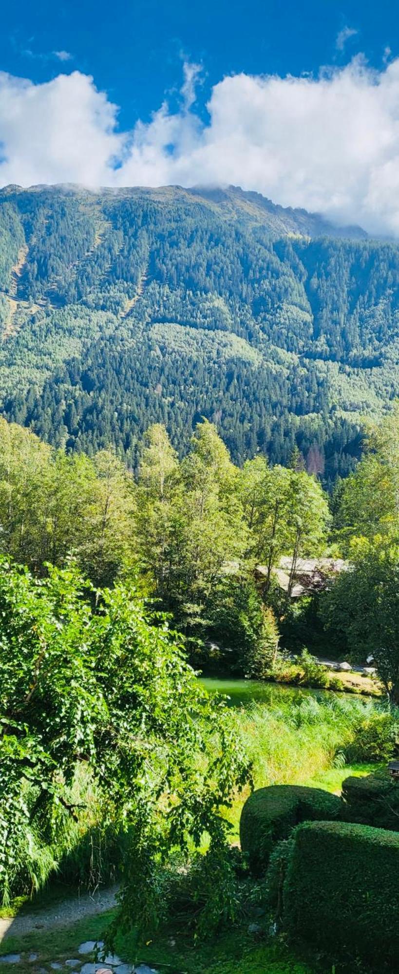 Chalet Le Geant